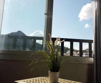 El Patio de Catalina