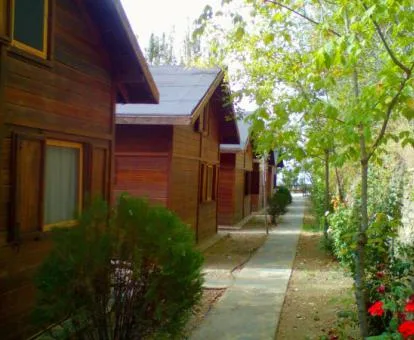 Camping Alpujarras
