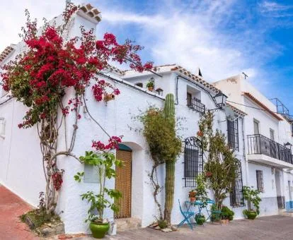 Casa Caballito de Mar Boutique B&B