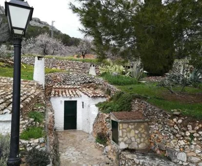 Cueva el Madrono