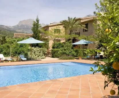 Finca Ca's Curial - Agroturismo