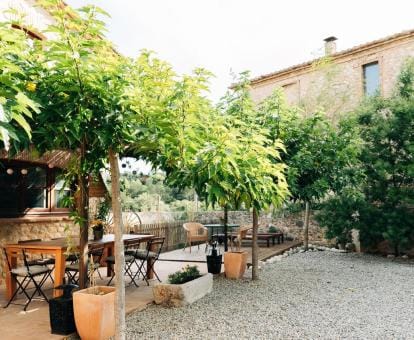 Mas Camins B&B